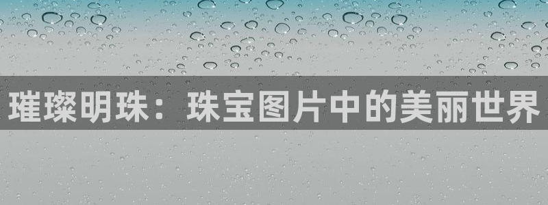 新宝集团新宝5