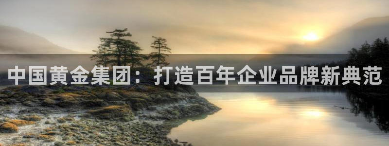 新宝h2O5O5O