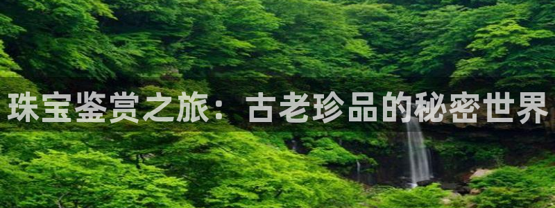 新宝5网站
