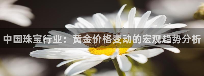 新宝gg5：中国珠宝行业：黄金价格变动的宏观趋势分析