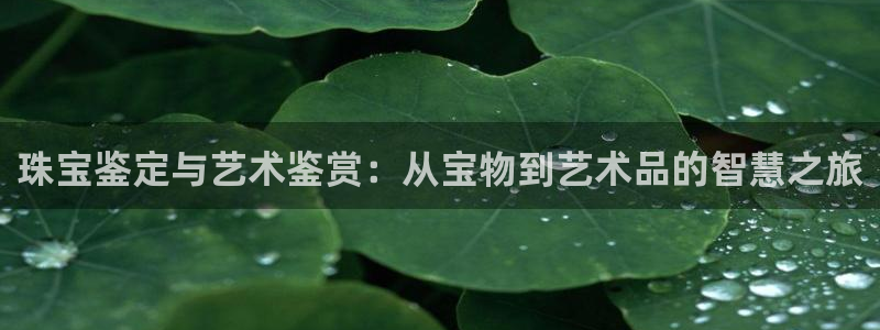 新宝5登录注册：珠宝鉴定与艺术鉴赏：从宝物到艺术品的智慧之旅