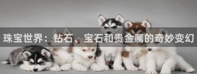 新宝5链接：珠宝世界：钻石、宝石和贵金属的奇妙变幻