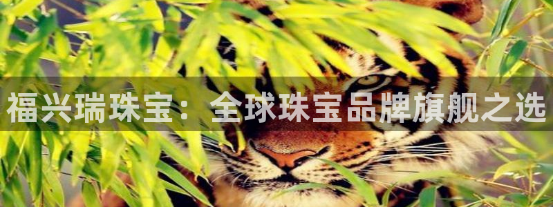 新宝5苹果手机下载：福兴瑞珠宝：全球珠宝品牌旗舰之选