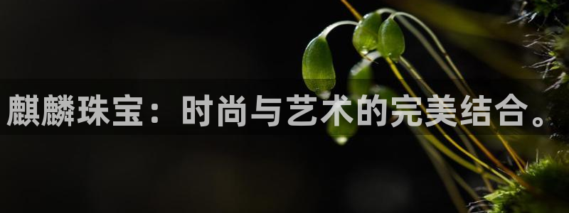 新宝5日谢29999：麒麟珠宝：时尚与艺术的完美结合。