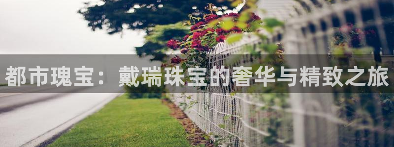 新宝5首页：都市瑰宝：戴瑞珠宝的奢华与精致之旅