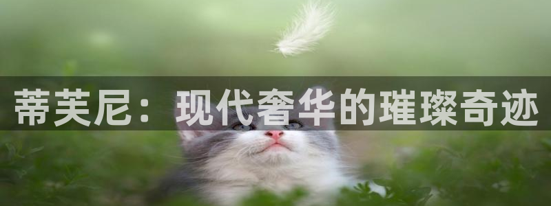 新宝3得74OO5：蒂芙尼：现代奢华的璀璨奇迹