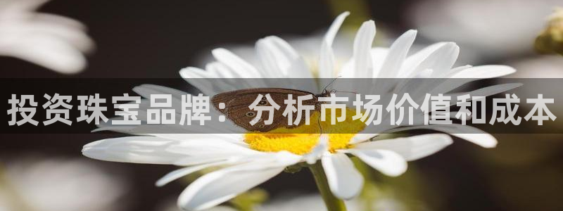新宝5是谁的：投资珠宝品牌：分析市场价值和成本