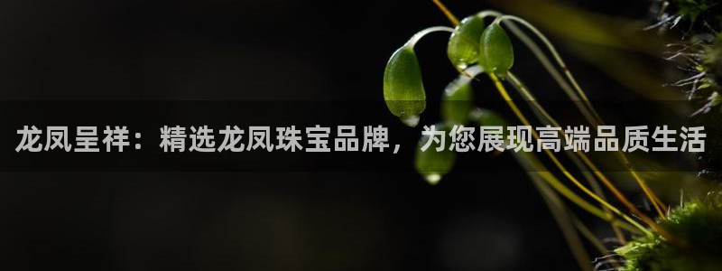 新宝5登录地址：龙凤呈祥：精选龙凤珠宝品牌，为您展现高端品质生活