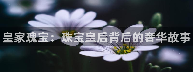 新宝3得74OO5：皇家瑰宝：珠宝皇后背后的奢华故事