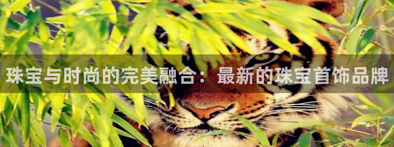 新宝5注册测速登录：珠宝与时尚的完美融合：最新的珠宝首饰品牌