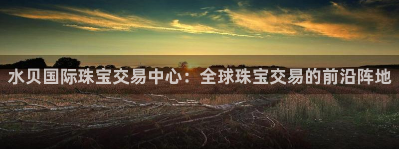 新宝5苹果手机下载：水贝国际珠宝交易中心：全球珠宝交易的前沿阵地