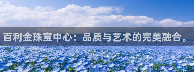 新宝新5：百利金珠宝中心：品质与艺术的完美融合。