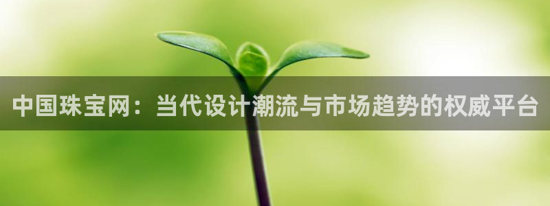新5宝：中国珠宝网：当代设计潮流与市场趋势的权威平台