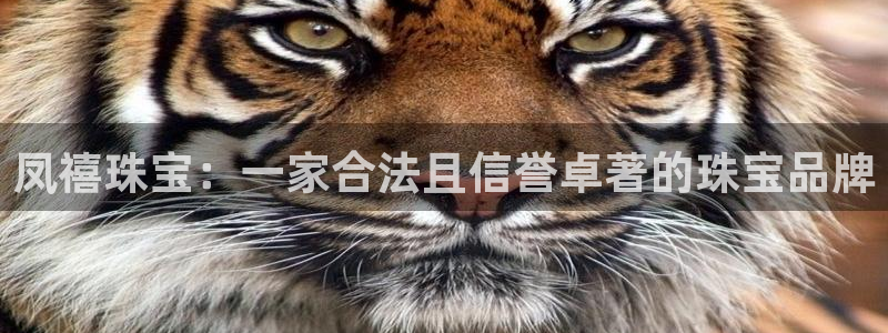 新5宝：凤禧珠宝：一家合法且信誉卓著的珠宝品牌