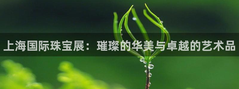 新宝堂新会陈皮5年