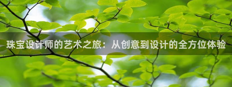 新宝5挂机：珠宝设计师的艺术之旅：从创意到设计的全方位体验