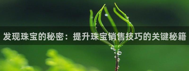 新宝5娱乐平台：发现珠宝的秘密：提升珠宝销售技巧的关键秘籍