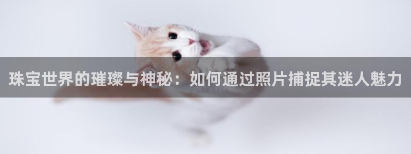 新宝5官方网站：珠宝世界的璀璨与神秘：如何通过照片捕捉其迷人魅力