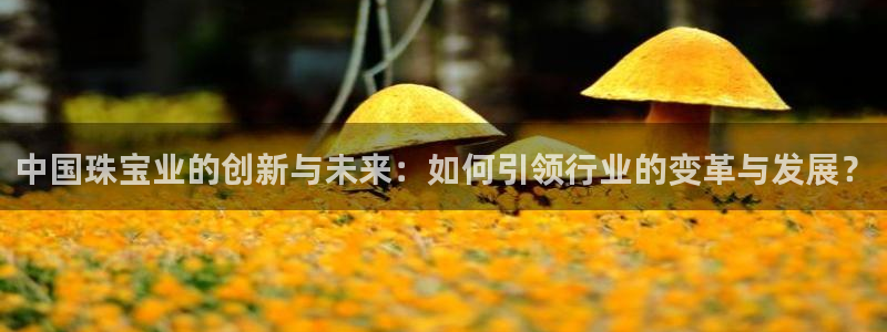 新宝5彩票娱乐平台：中国珠宝业的创新与未来：如何引领行业的变革与发展？