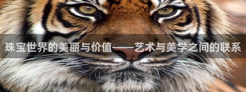 新宝5下载软件：珠宝世界的美丽与价值——艺术与美学之间的联系