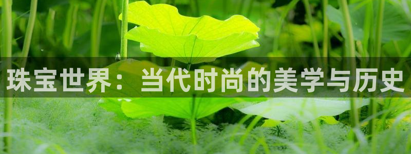 新宝5公司：珠宝世界：当代时尚的美学与历史