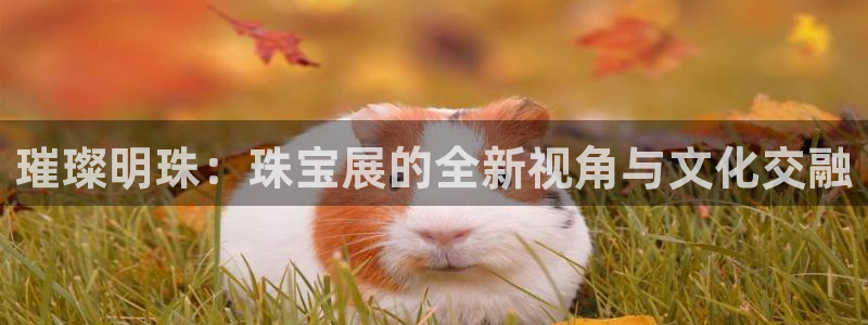 新宝5系列：璀璨明珠：珠宝展的全新视角与文化交融