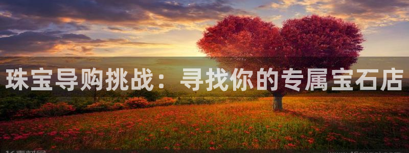 新宝b2O5O5O：珠宝导购挑战：寻找你的专属宝石店