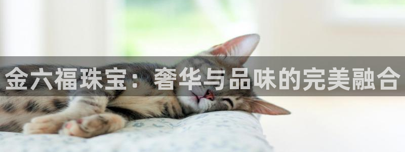 新宝5测速下载：金六福珠宝：奢华与品味的完美融合