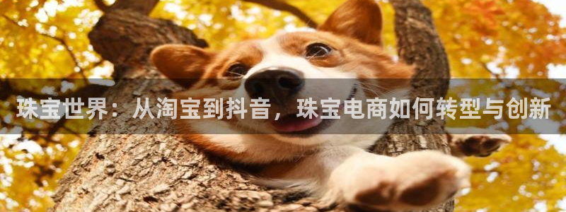 新宝5平台注册：珠宝世界：从淘宝到抖音，珠宝电商如何转型与创新