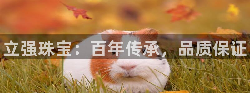 新宝5注册流程：立强珠宝：百年传承，品质保证