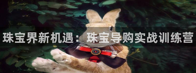新宝5手机登录：珠宝界新机遇：珠宝导购实战训练营