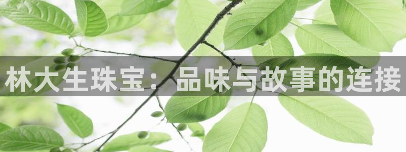 新宝5为啥开：林大生珠宝：品味与故事的连接