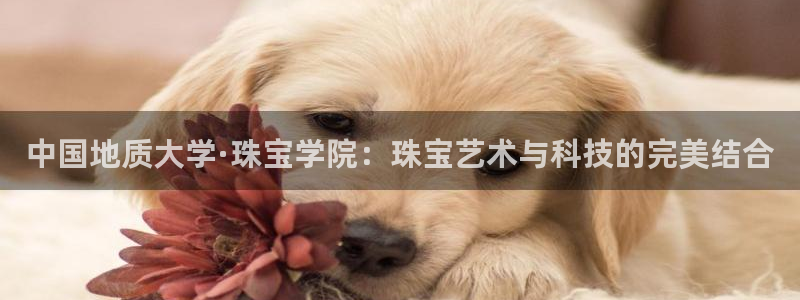 新宝5为啥开：中国地质大学·珠宝学院：珠宝艺术与科技的完美结合