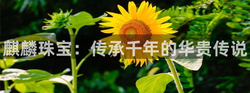 新宝5手机版：麒麟珠宝：传承千年的华贵传说