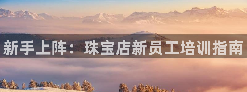 新宝测速5：新手上阵：珠宝店新员工培训指南