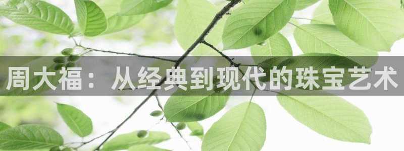 新宝5官方登录入口：周大福：从经典到现代的珠宝艺术