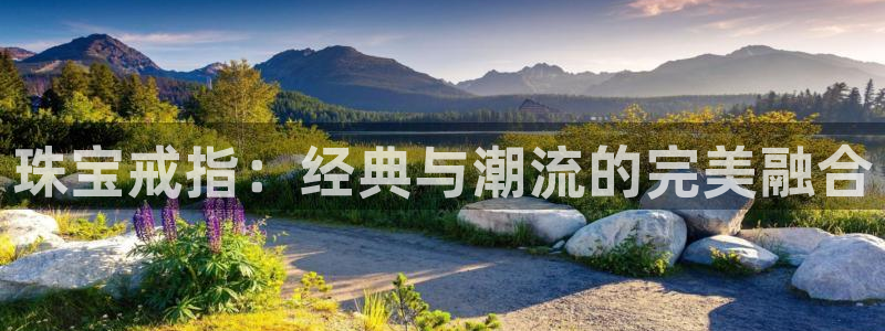 新宝b2O5O5O：珠宝戒指：经典与潮流的完美融合