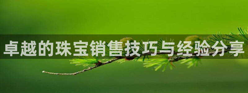 新宝5线路登录：卓越的珠宝销售技巧与经验分享