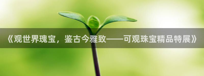 新宝5口67五壹叁八