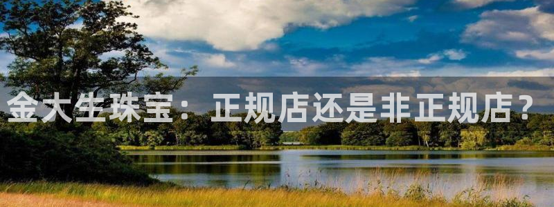 新宝5平台登录注册：金大生珠宝：正规店还是非正规店？