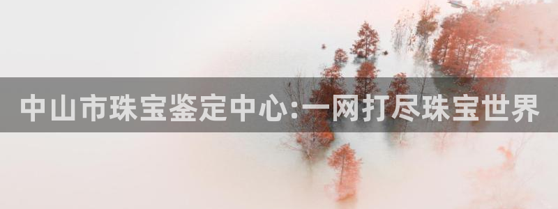 新宝5测试：中山市珠宝鉴定中心:一网打尽珠宝世界