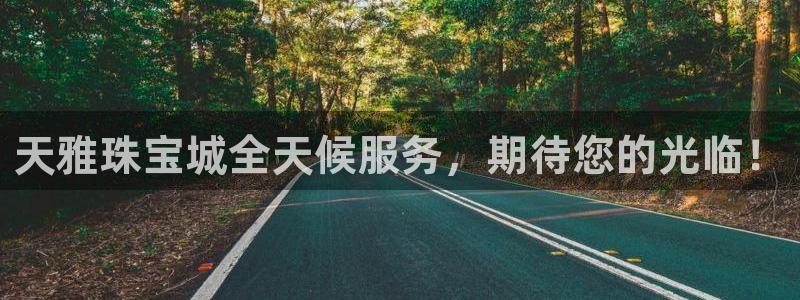 新宝5测试：天雅珠宝城全天候服务，期待您的光临！