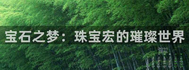 新宝5如何注册登录：宝石之梦：珠宝宏的璀璨世界