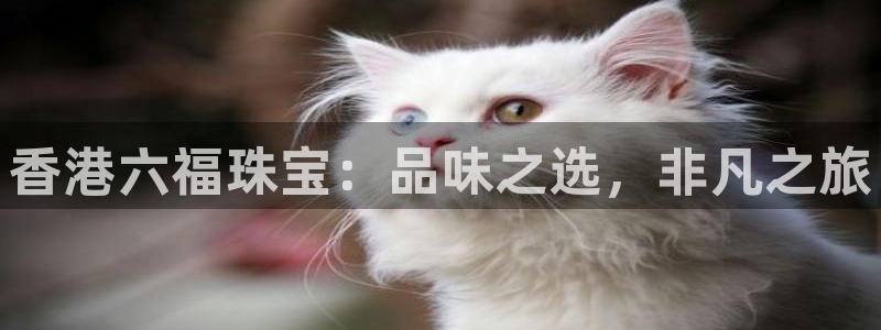 新宝5如何注册：香港六福珠宝：品味之选，非凡之旅