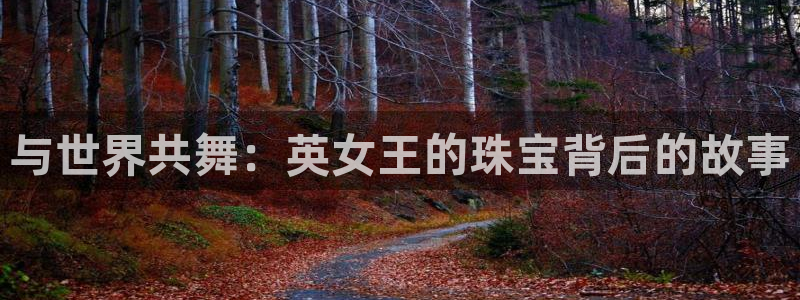 新宝rc_5w：与世界共舞：英女王的珠宝背后的故事