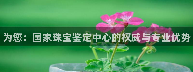 新宝5娱乐手机登录：为您：国家珠宝鉴定中心的权威与专业优势