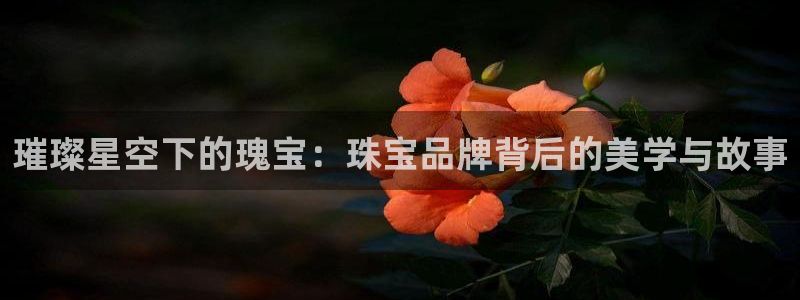 新宝5主管：璀璨星空下的瑰宝：珠宝品牌背后的美学与故事