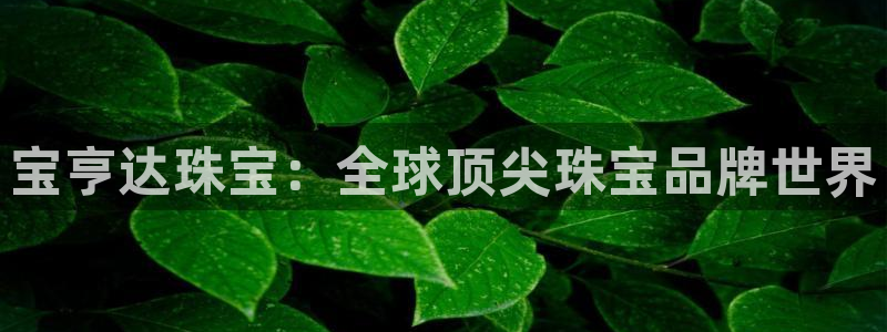 新宝5寂创33300散：宝亨达珠宝：全球顶尖珠宝品牌世界