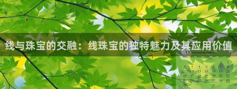 新宝5d：线与珠宝的交融：线珠宝的独特魅力及其应用价值