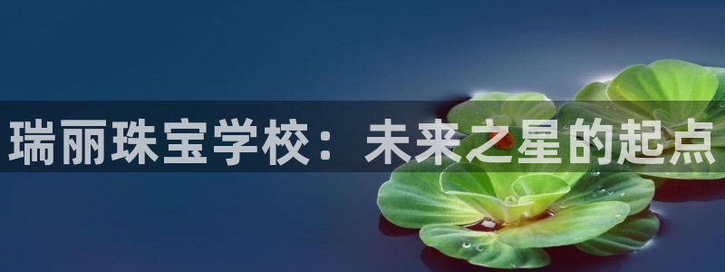 新宝5官方下载地址：瑞丽珠宝学校：未来之星的起点